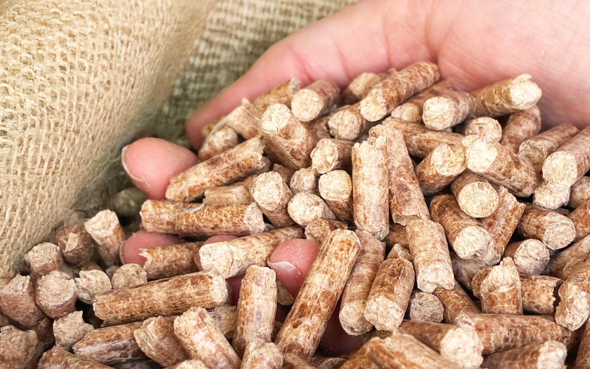 Descrizione nuova immagine