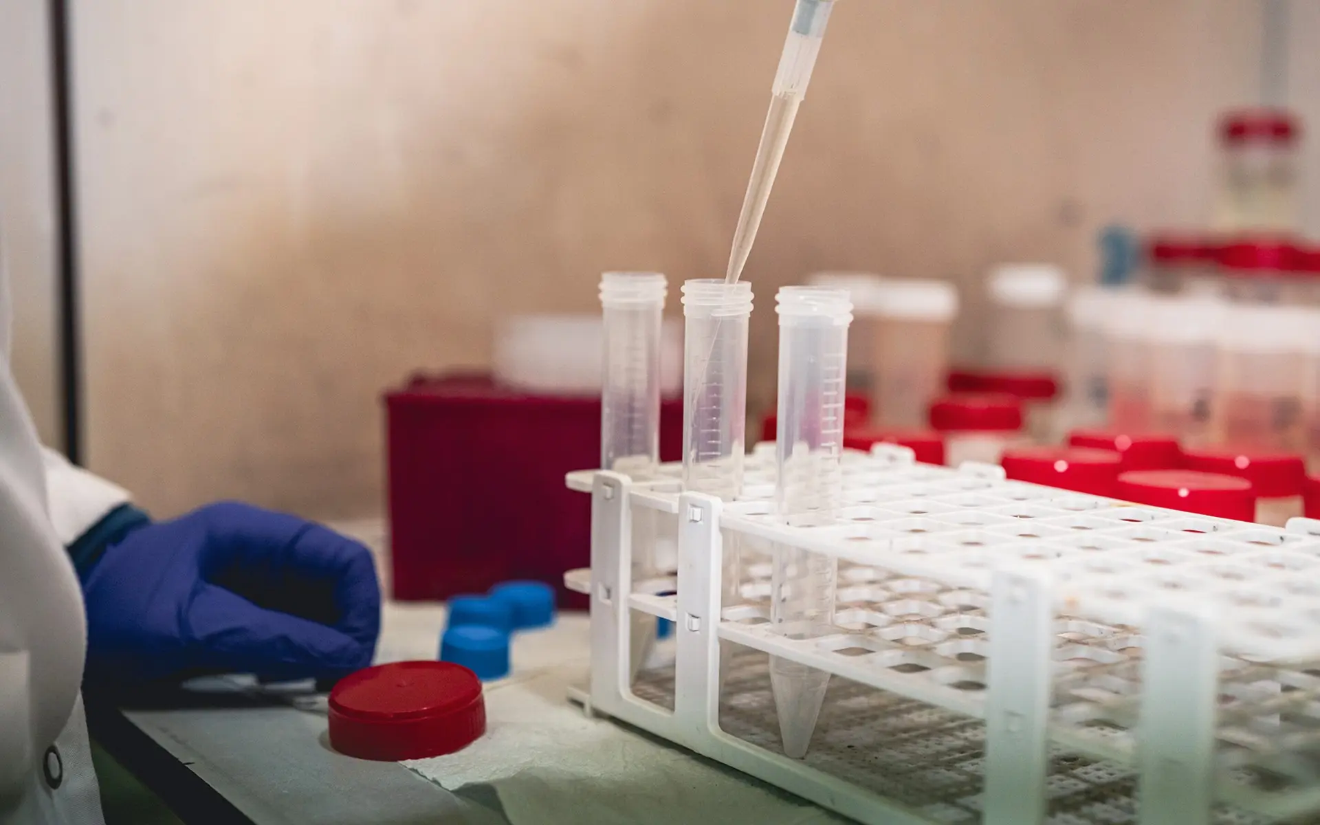 Sistemi di gestione per la qualità