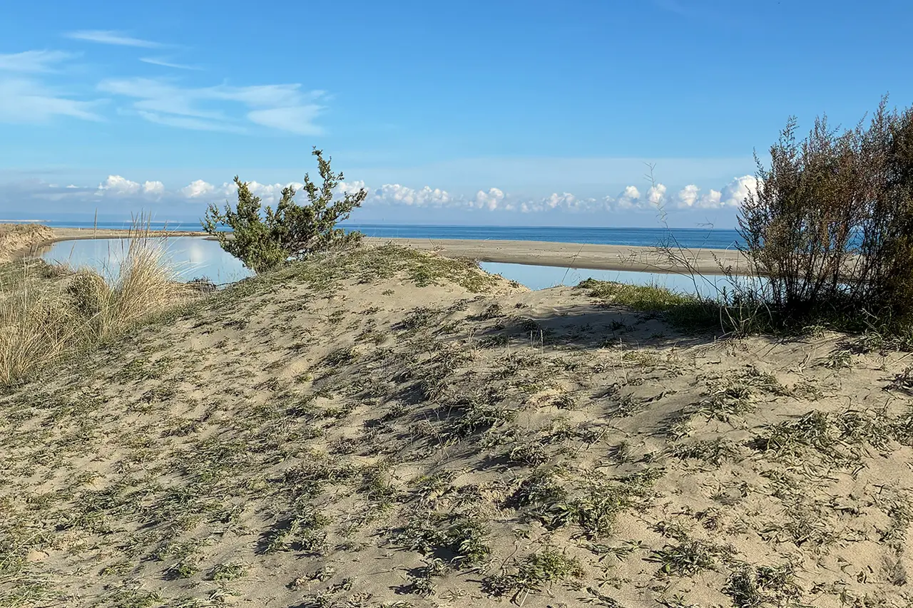 Analisi ambientali per aziende e industrie