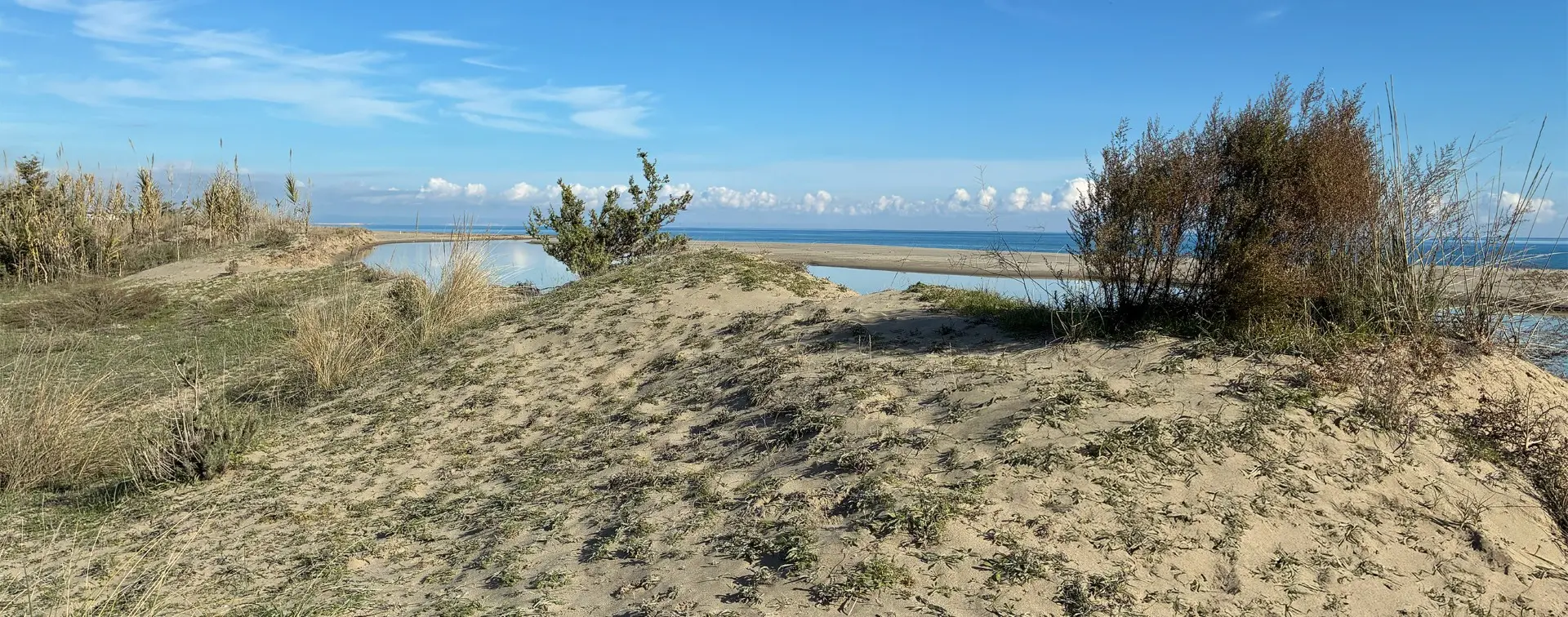 Analisi Chimiche Ambientali