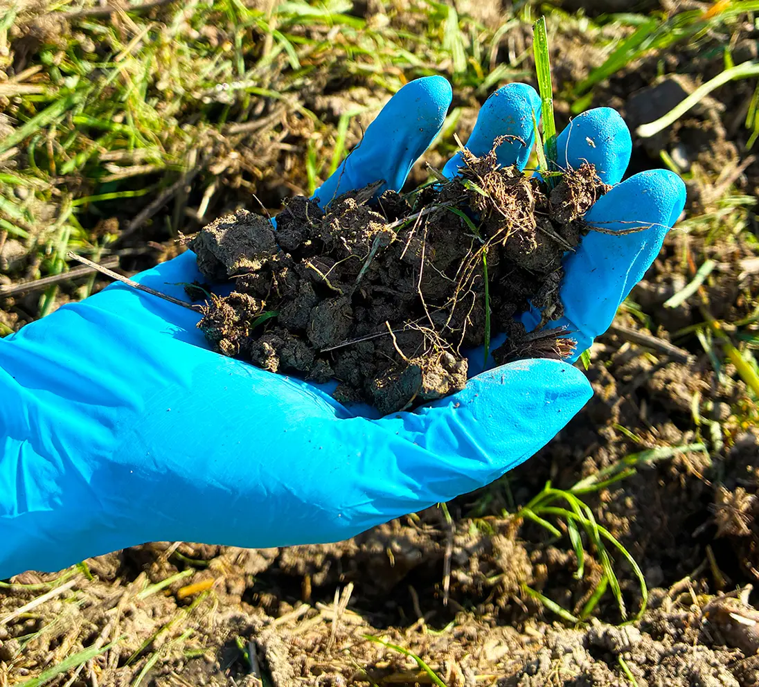 Analisi fertilizzanti e compost