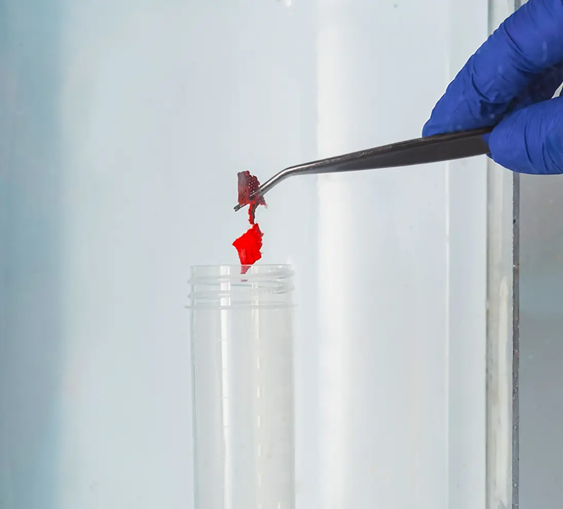 Analisi merceologiche