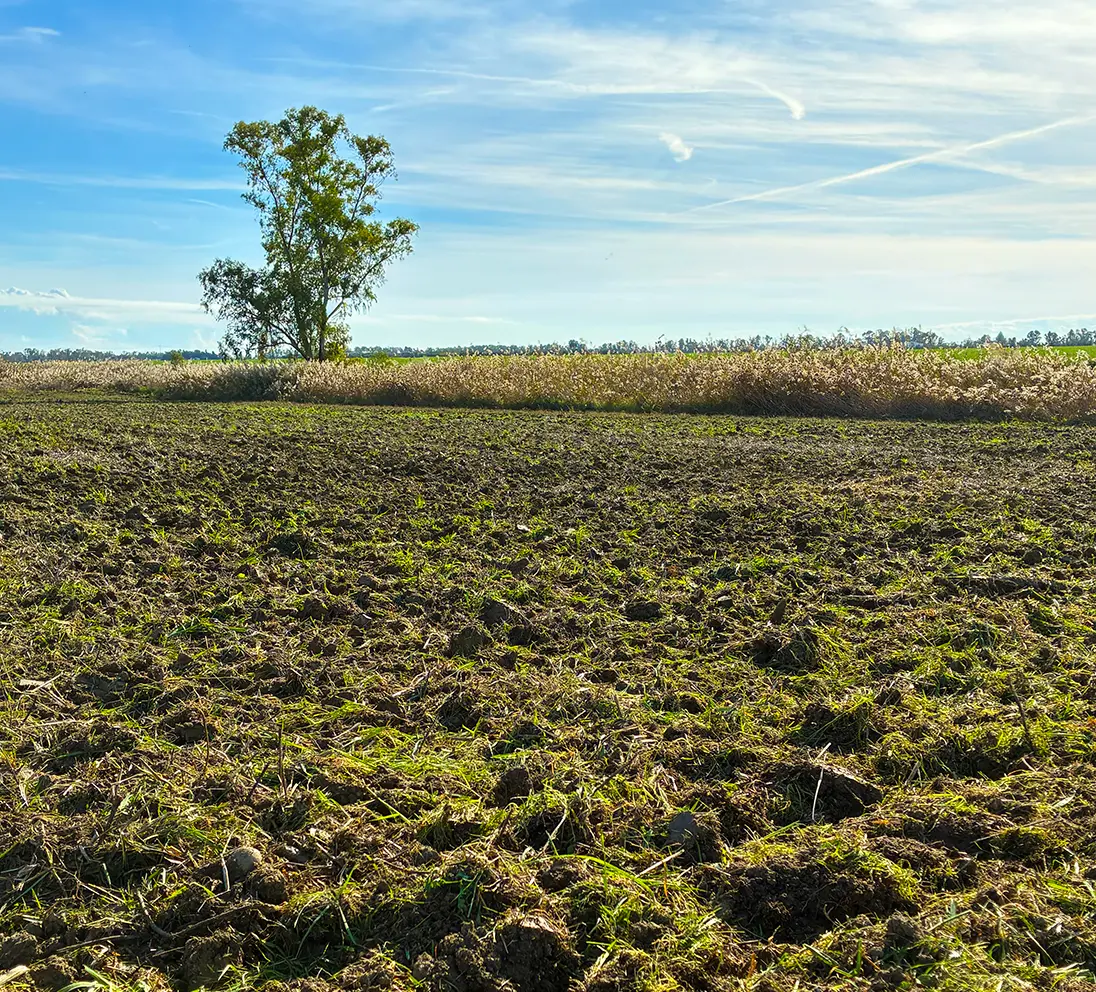 Analisi terreni da bonifica