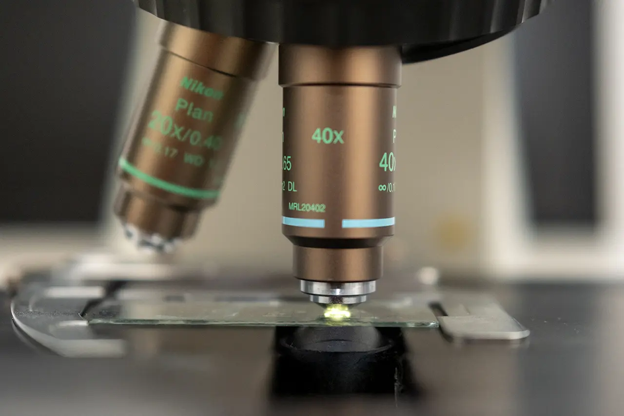 Analisi microbiologiche su campioni e superfici