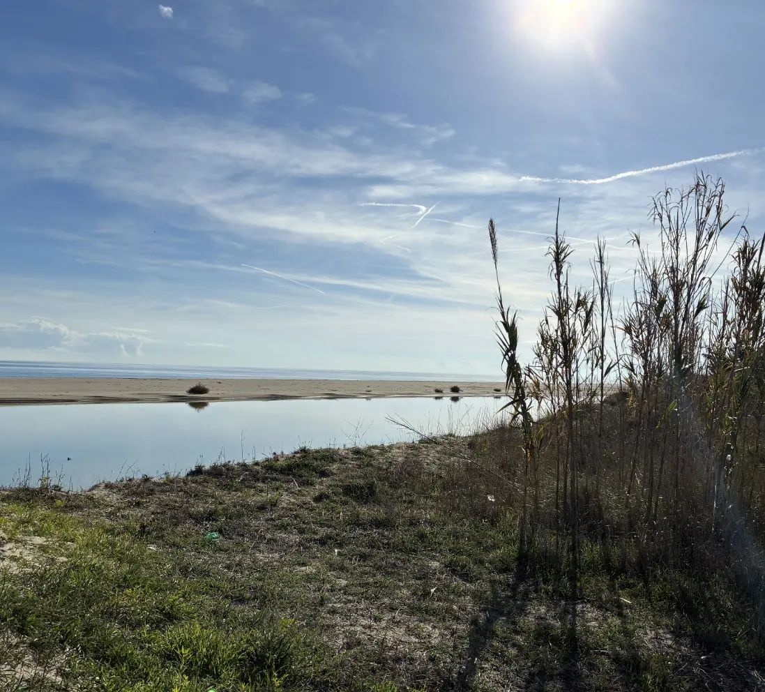 Analisi microbiologiche dell’aria in ambienti interni