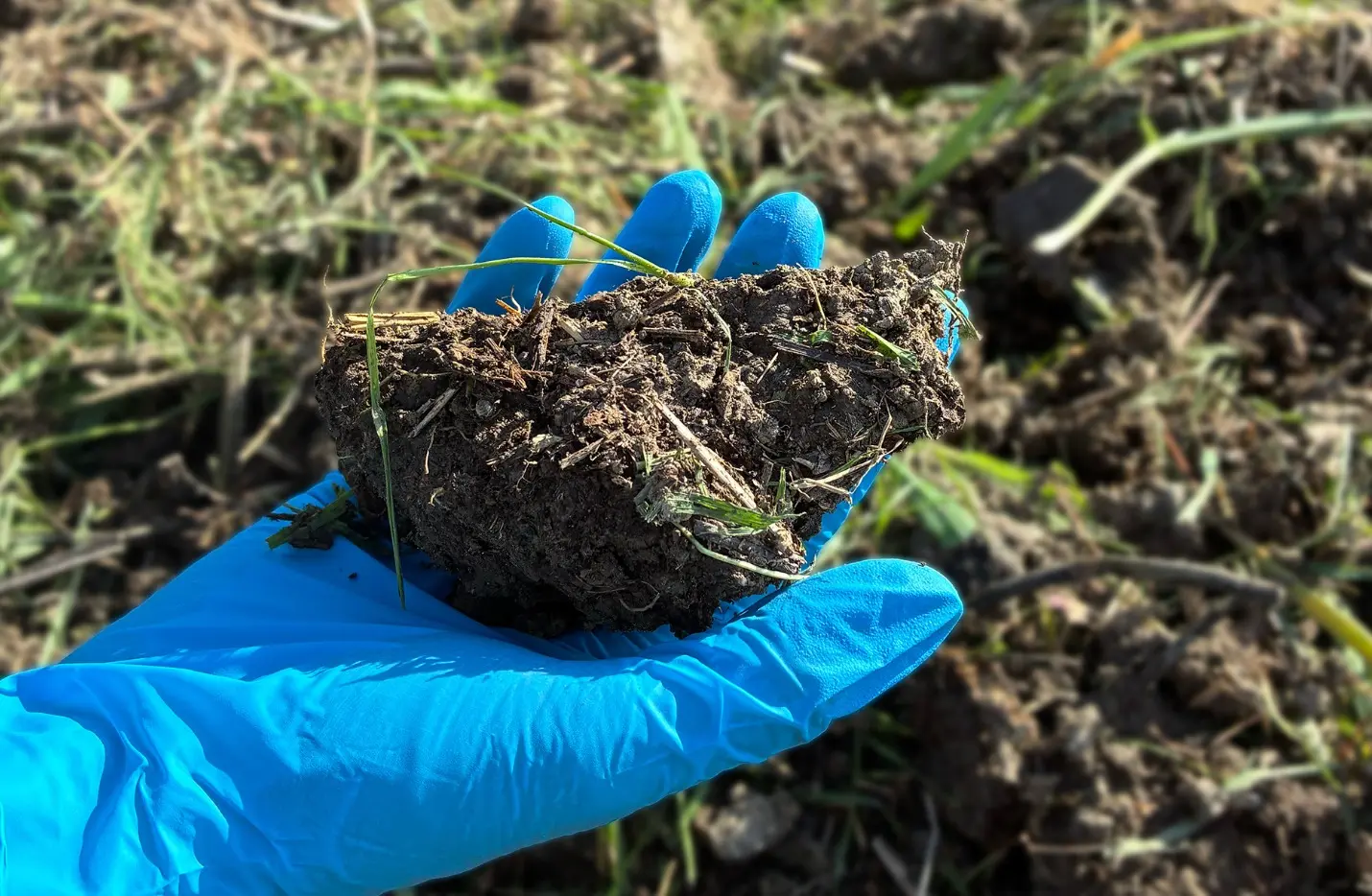 PFAS nei terreni: una contaminazione che può andare oltre il suolo
